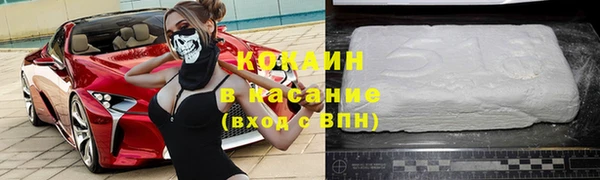 шишки Алексин