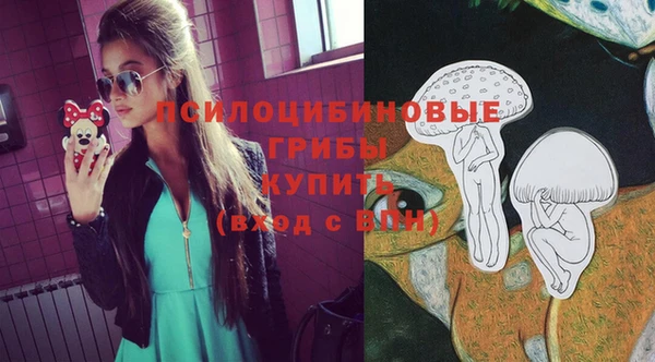 PSILOCYBIN Алексеевка