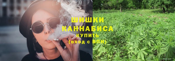 шишки Алексин
