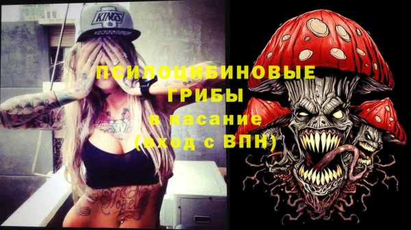 шишки Алексин