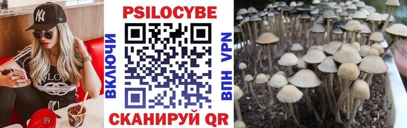 Галлюциногенные грибы Cubensis  где можно купить   Ачинск 